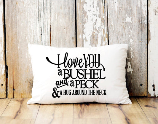 Valentine Bushel and a Peck Pillow